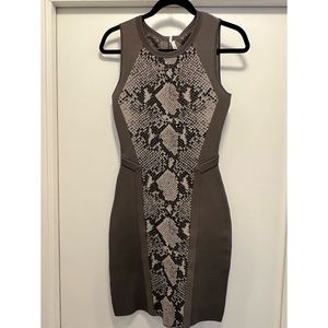 Diane Von Furstenberg Cocktail Snake Print Dress